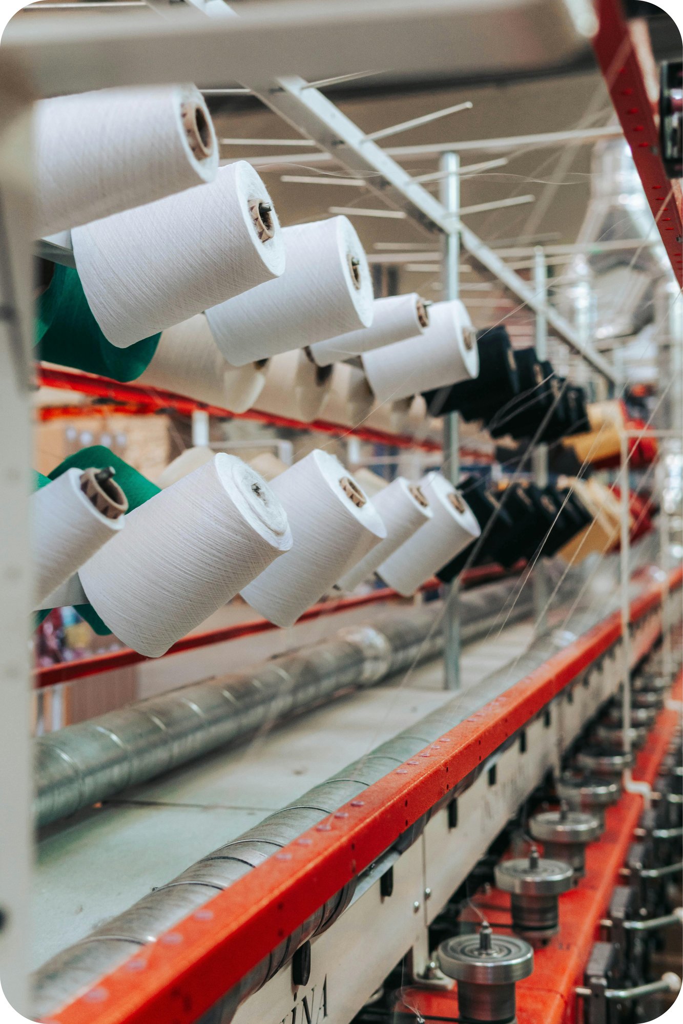 pexels-seyfidurmaz-6717035 1